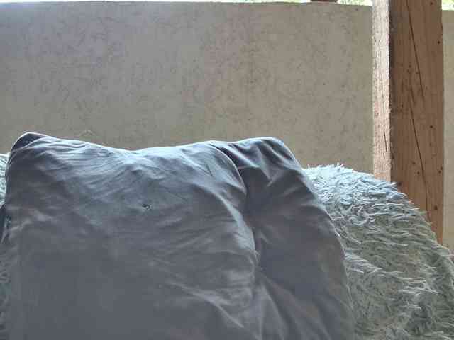 curvyana webcam