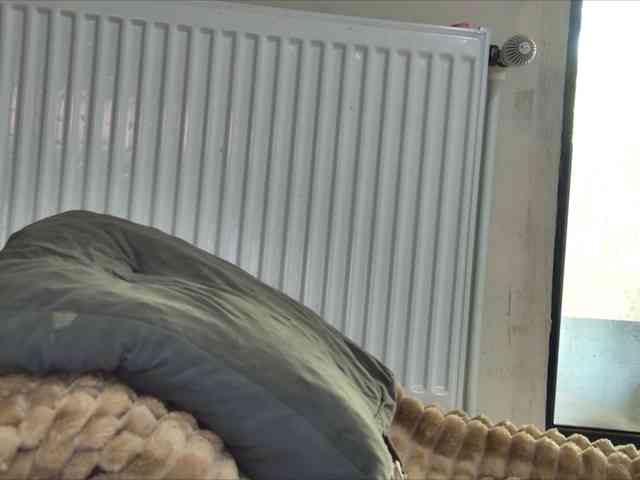 curvyana webcam