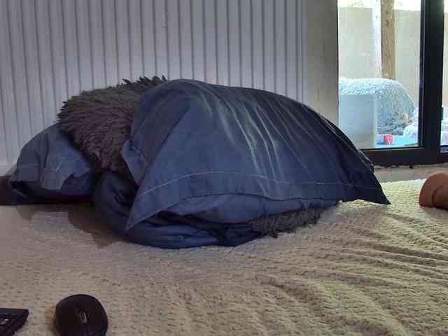 curvyana webcam