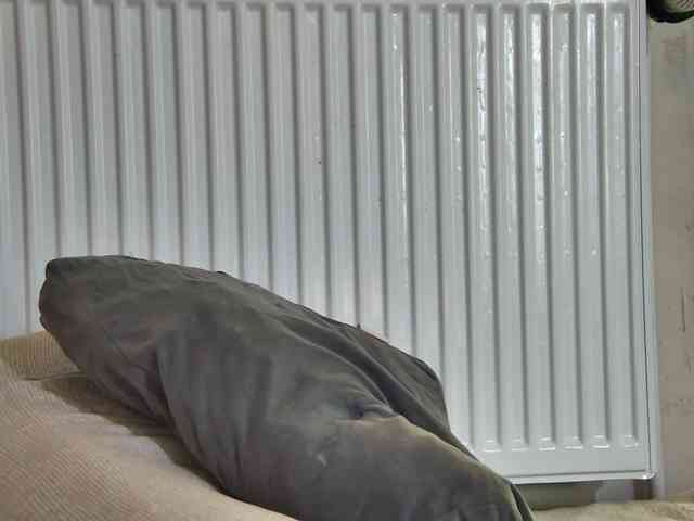 curvyana webcam
