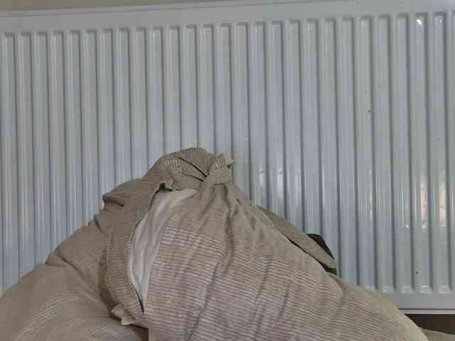 curvyana webcam
