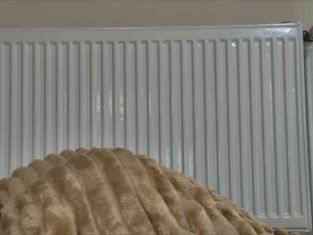 curvyana webcam