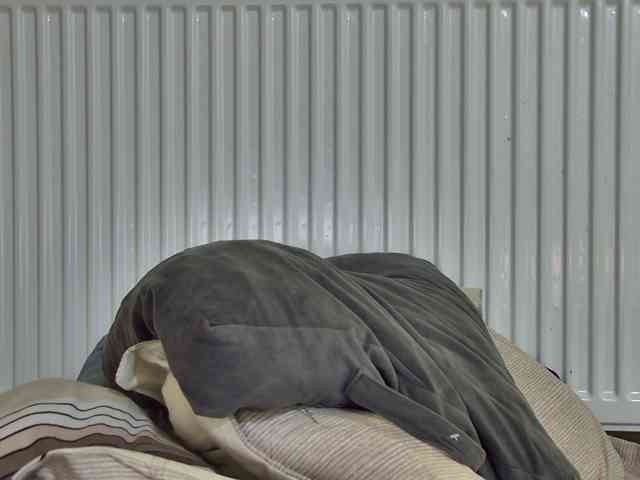 curvyana webcam