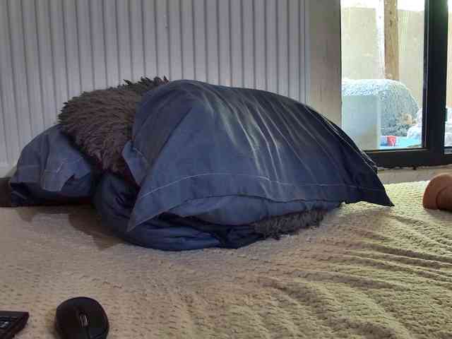 curvyana webcam
