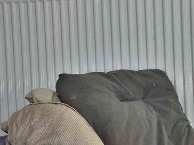 curvyana webcam