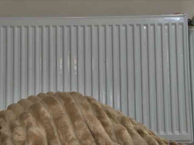 curvyana webcam