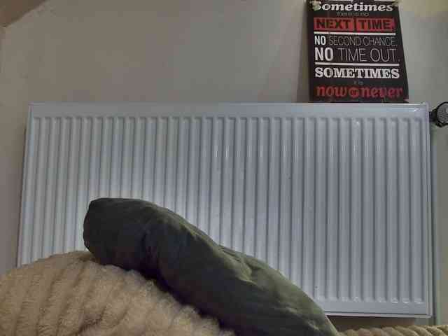 curvyana webcam
