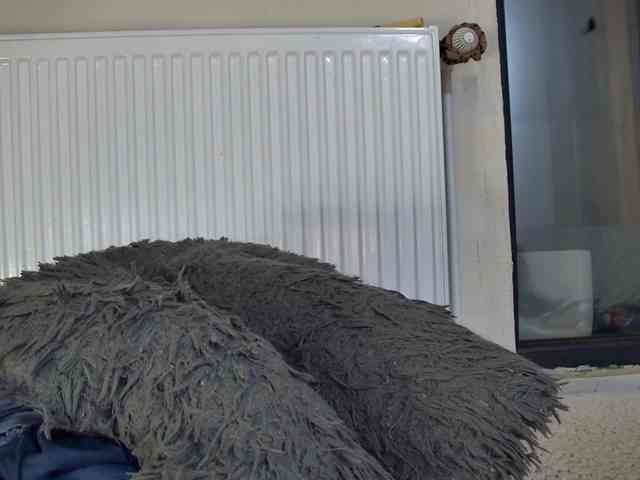 curvyana webcam