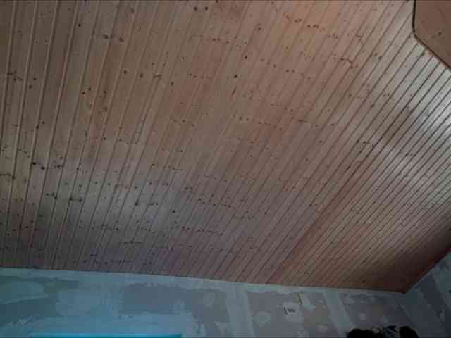 curvyana webcam