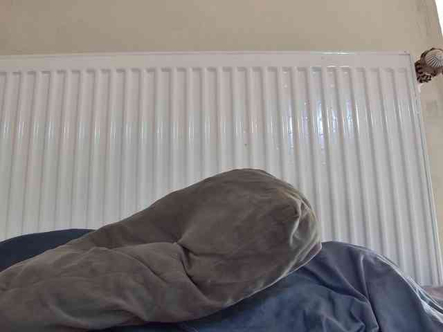 curvyana webcam