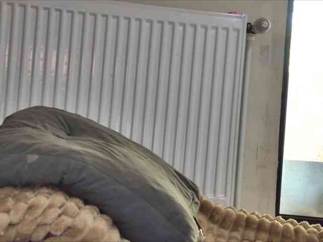 curvyana webcam