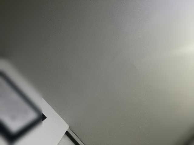 SallyeLeins's BongaCams profile