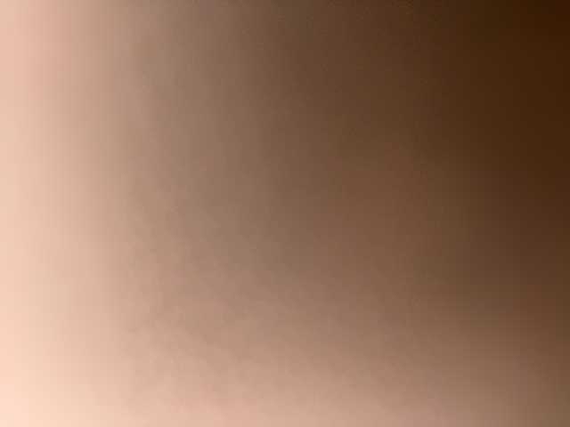 SallyeLeins's BongaCams show and profile