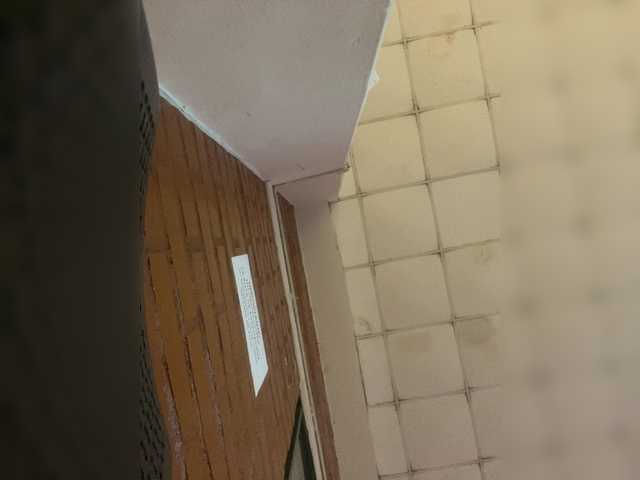 SallyeLeins's BongaCams show and profile