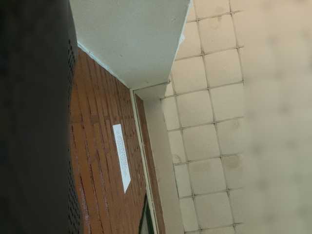 sallyeleins live sex show