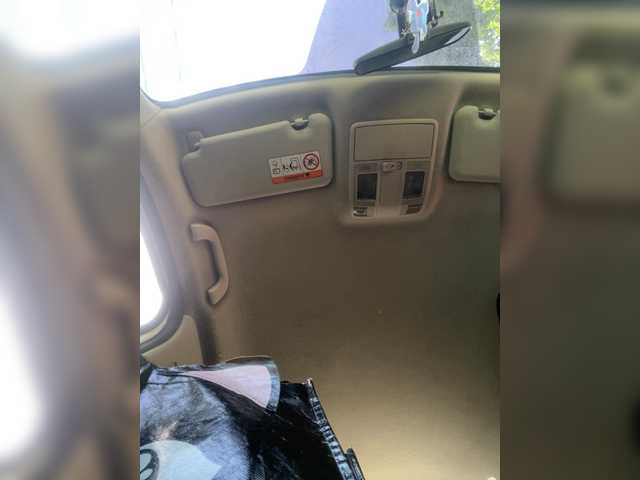 SallyeLeins live cam