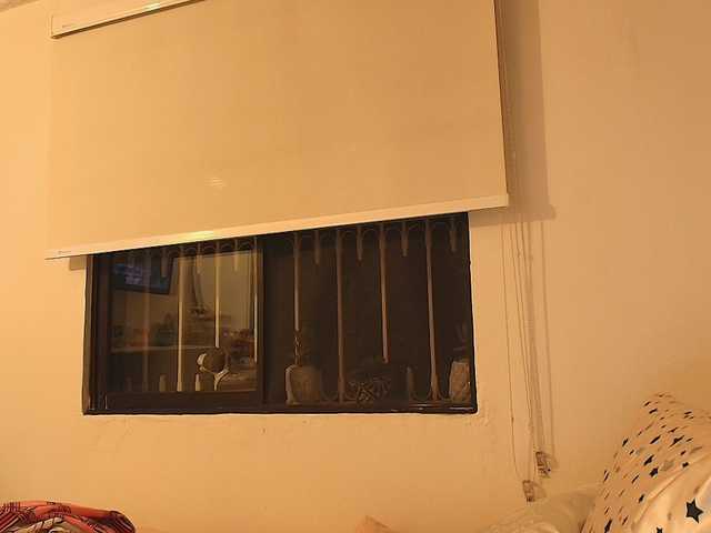 SallyeLeins live webcam show
