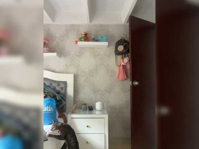 SallyeLeins's BongaCams show and profile