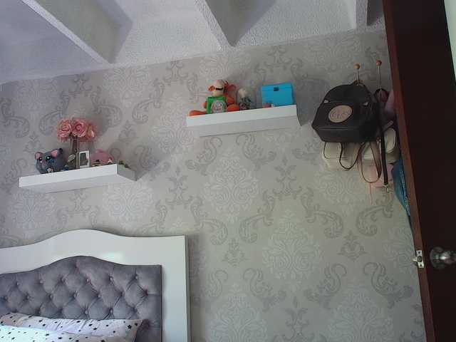 sallyeleins cam belle