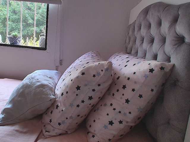 SallyeLeins live cam on BongaCams