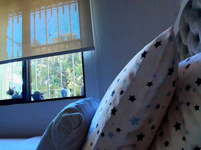 sallyeleins live sex show