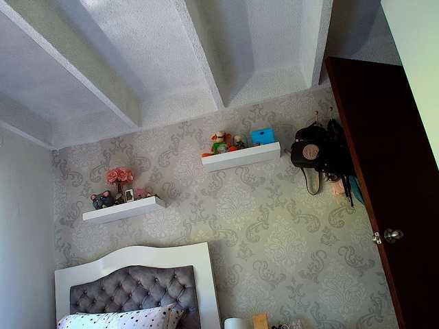 sallyeleins cam belle
