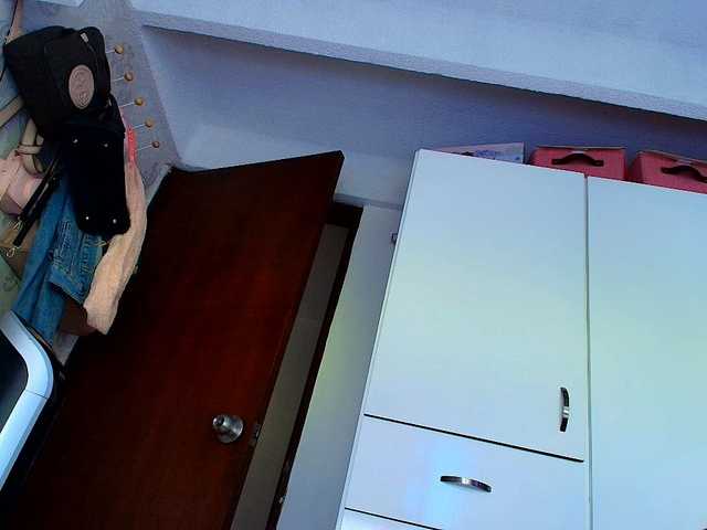 SallyeLeins live cam on BongaCams