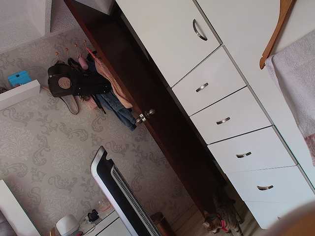 SallyeLeins live webcam show