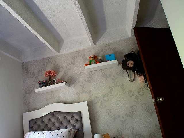 SallyeLeins live webcam show