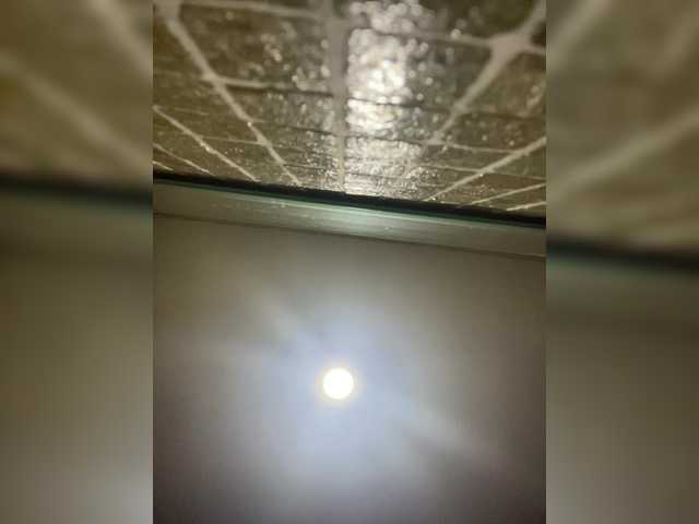 SallyeLeins live webcam show