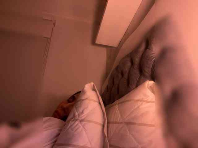 SallyeLeins webcam