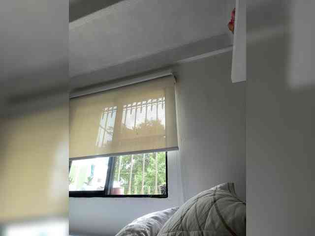 SallyeLeins webcam