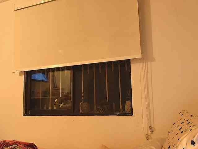SallyeLeins webcam