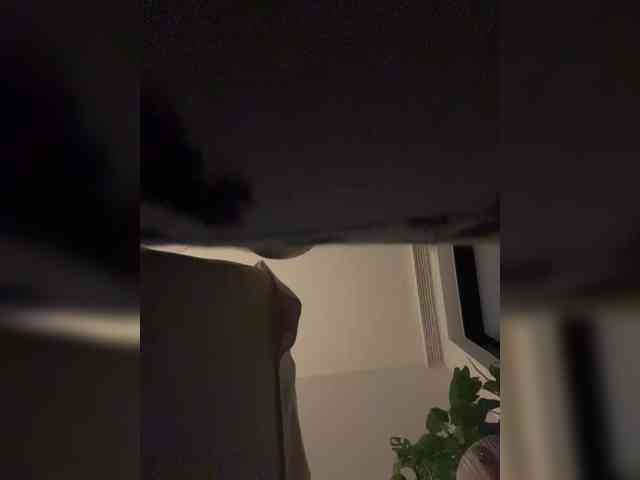SallyeLeins webcam