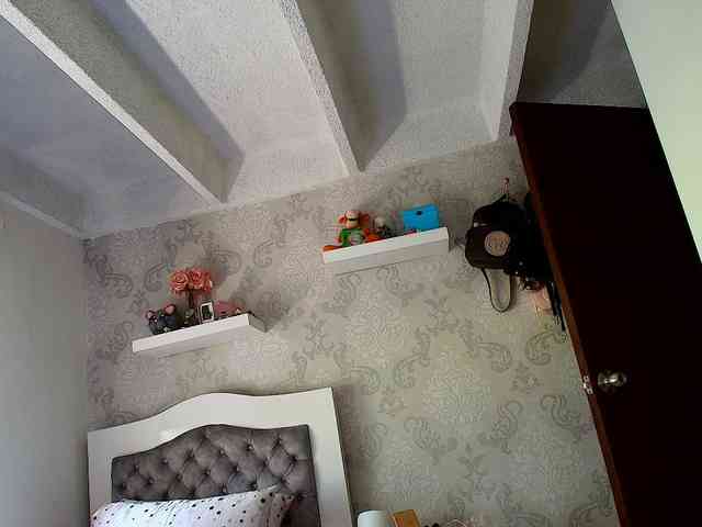 SallyeLeins webcam