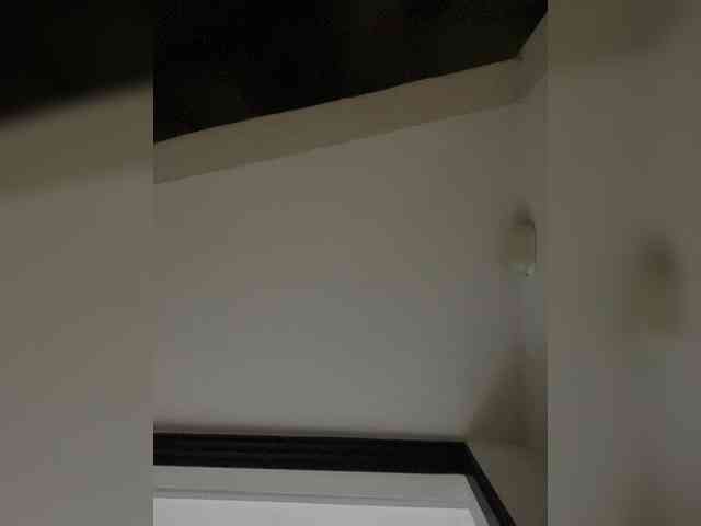 SallyeLeins webcam