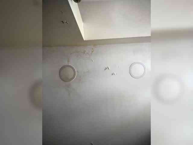 SallyeLeins webcam