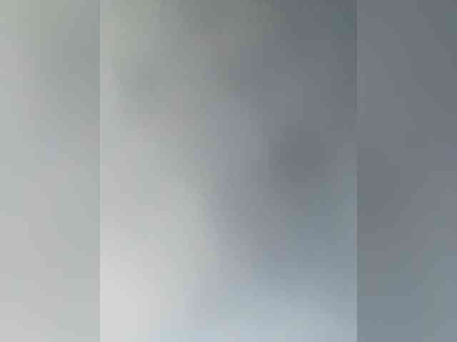 SallyeLeins webcam