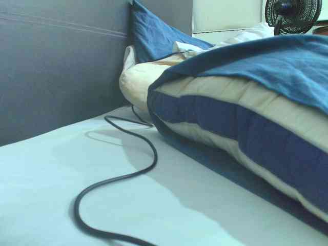 SallyeLeins webcam
