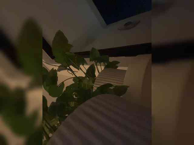 SallyeLeins webcam