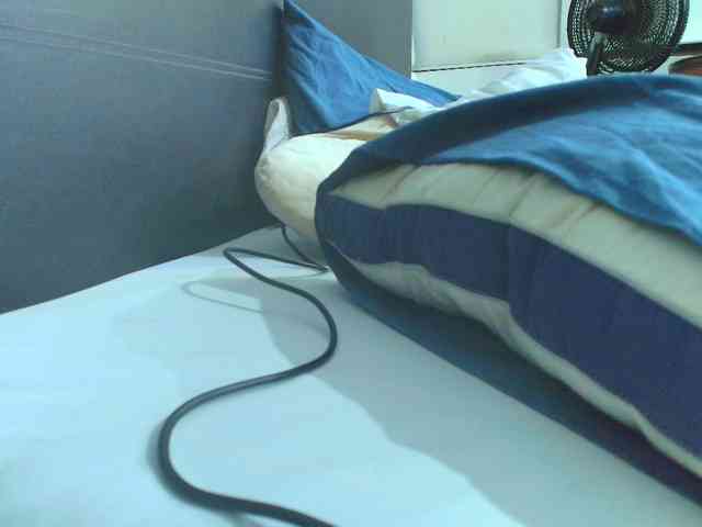 SallyeLeins webcam