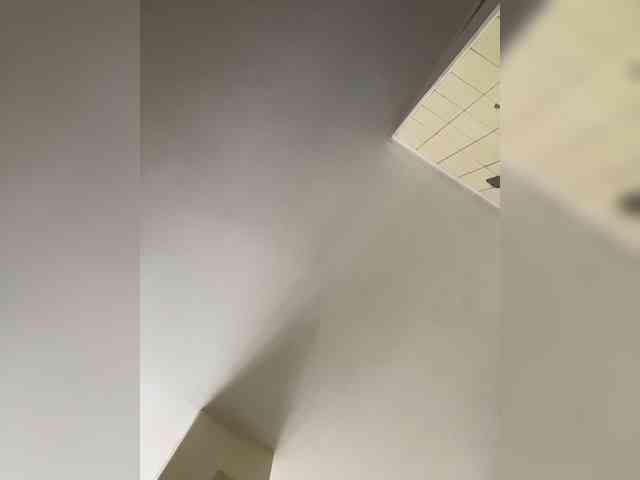 SallyeLeins webcam