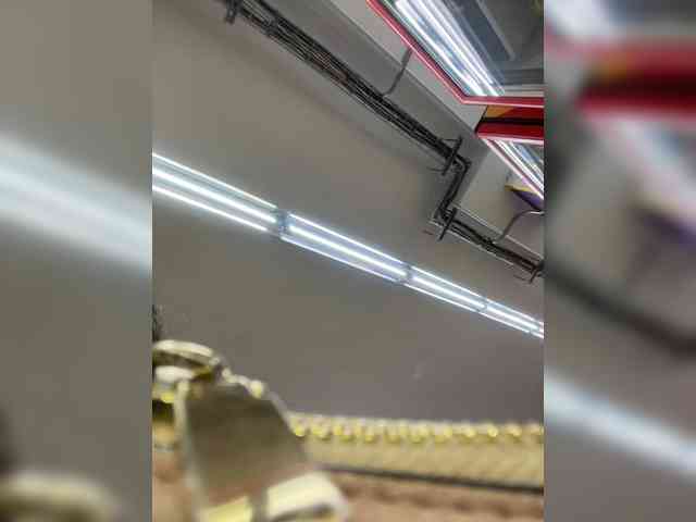 SallyeLeins webcam