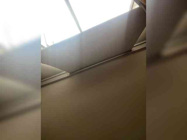 SallyeLeins webcam
