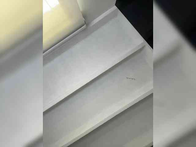 SallyeLeins Sex Cam Show