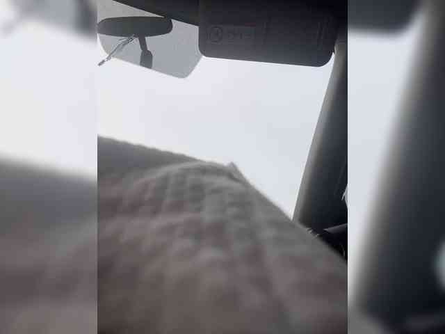 SallyeLeins webcam
