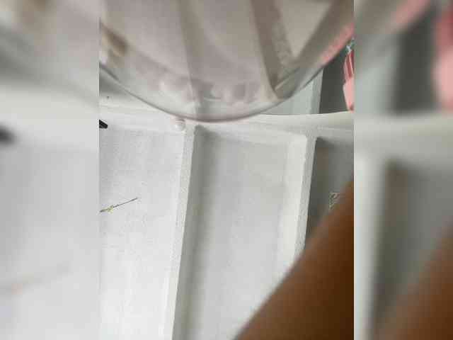 Modelo: SallyeLeins