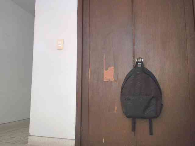 SallyeLeins webcam