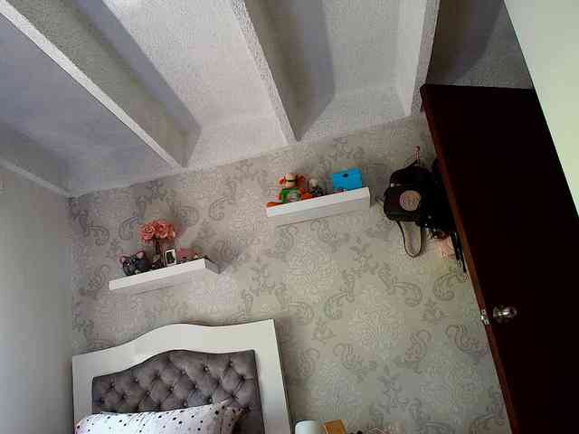 SallyeLeins webcam