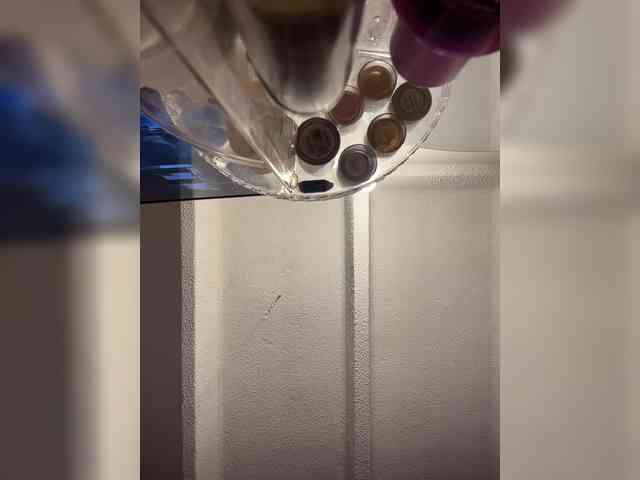 SallyeLeins webcam